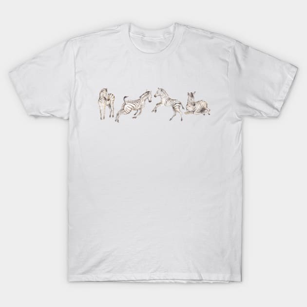 Zebra foals playing T-Shirt by wanderinglaur